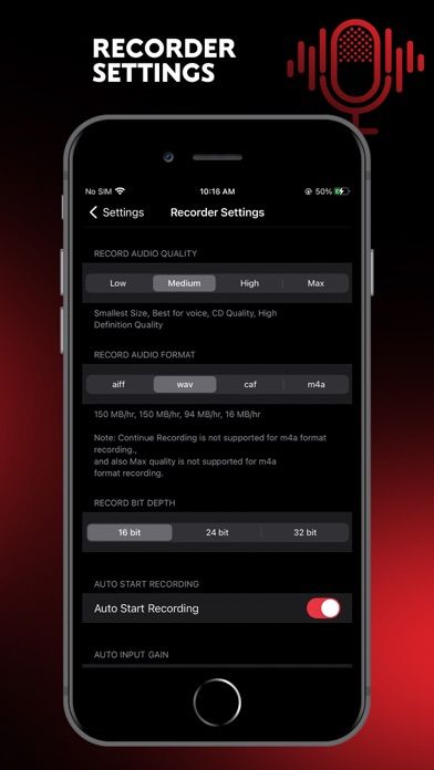Audio Recorder Pro and Editor9screenshot