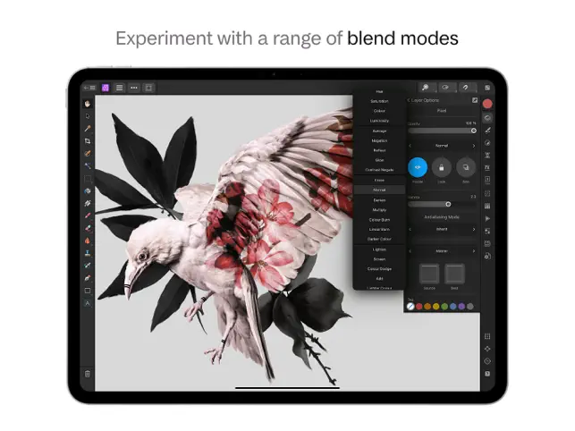 Affinity Photo 2 for iPad3screenshot