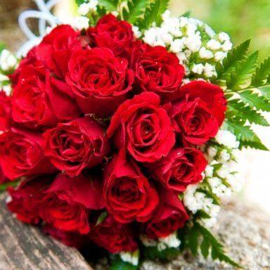 Lovely Flowers Images2screenshot