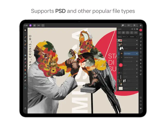 Affinity Photo 2 for iPad9screenshot
