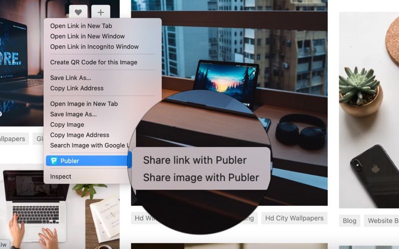 Publer: Browser Extension2screenshot