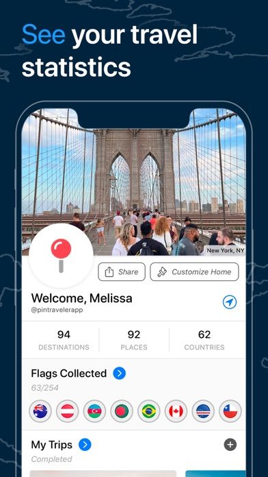 Pin Traveler: Travel Tracker8screenshot