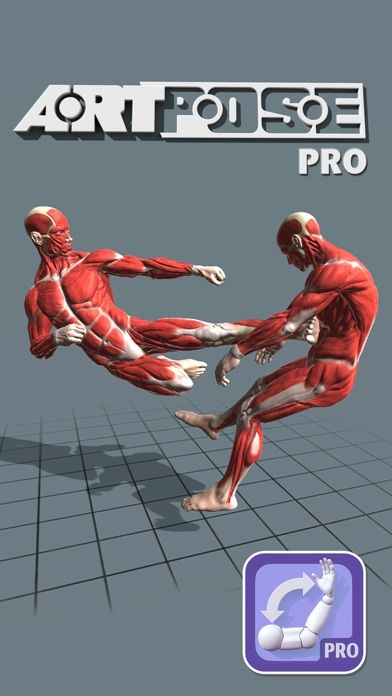 ArtPose Pro1screenshot
