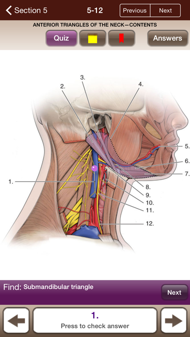 Lange Anatomy Flash Cards4screenshot
