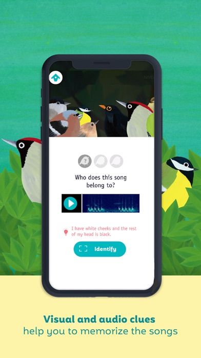 Birdie Memory5screenshot