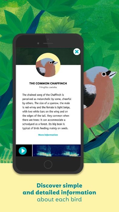 Birdie Memory6screenshot